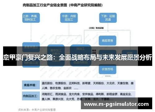 意甲豪门复兴之路：全面战略布局与未来发展愿景分析