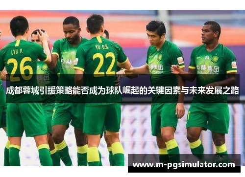成都蓉城引援策略能否成为球队崛起的关键因素与未来发展之路