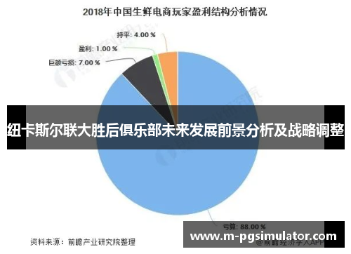 纽卡斯尔联大胜后俱乐部未来发展前景分析及战略调整