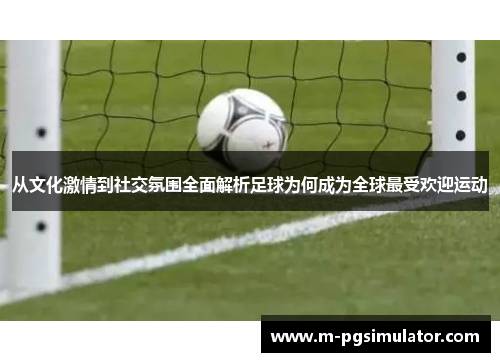 从文化激情到社交氛围全面解析足球为何成为全球最受欢迎运动