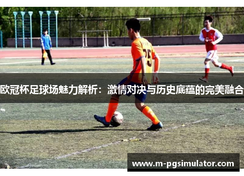 欧冠杯足球场魅力解析：激情对决与历史底蕴的完美融合